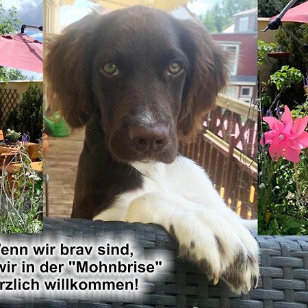 Ferienwohnung Mohnbrise Germerode Esterno foto