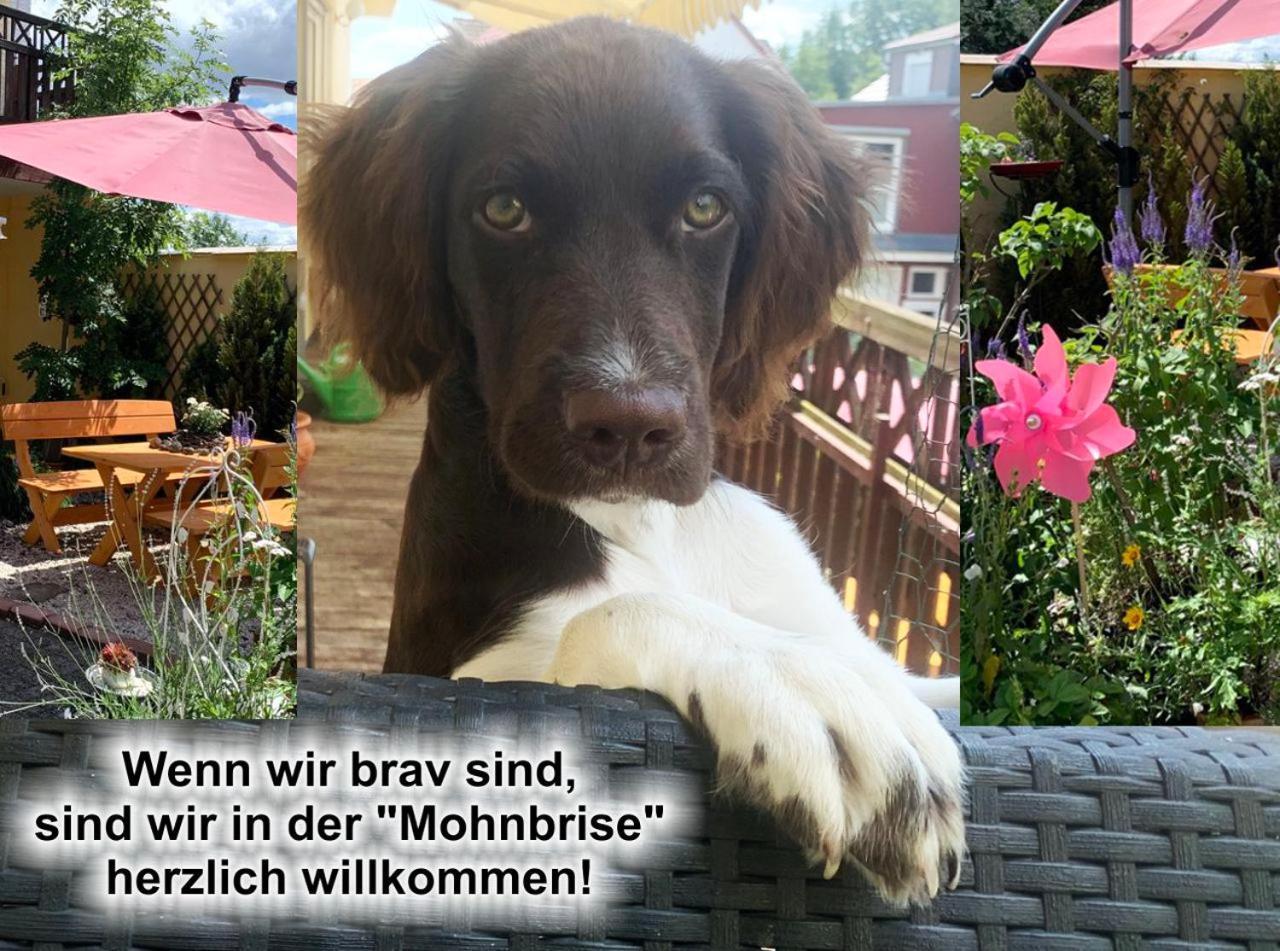 Ferienwohnung Mohnbrise Germerode Esterno foto